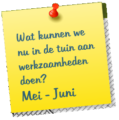 Wat kunnen we nu in de tuin aan werkzaamheden doen? Mei - Juni