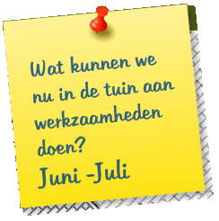 Wat kunnen we nu in de tuin aan werkzaamheden doen? Juni -Juli